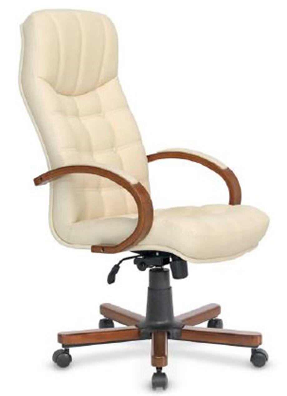 DİPLOMAT MODERN MAKAM OFİS KOLTUGU 