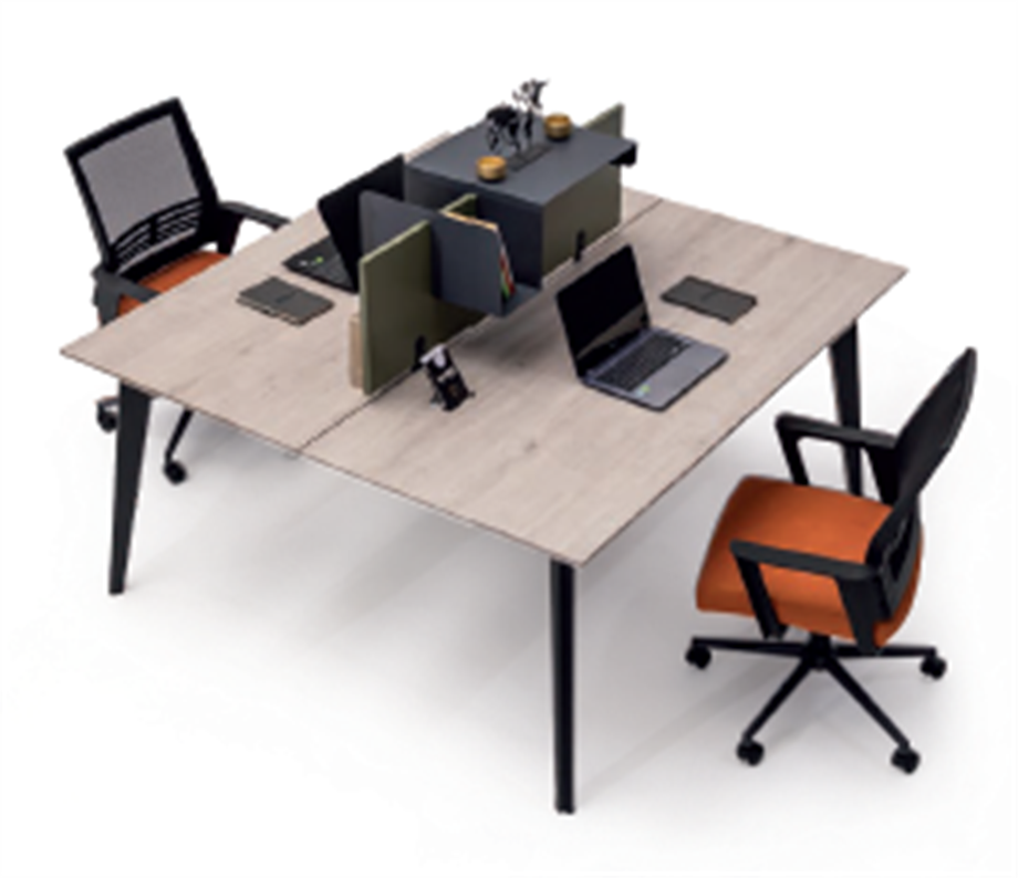 ERA İKİLİ ÇALIŞMA MASASI