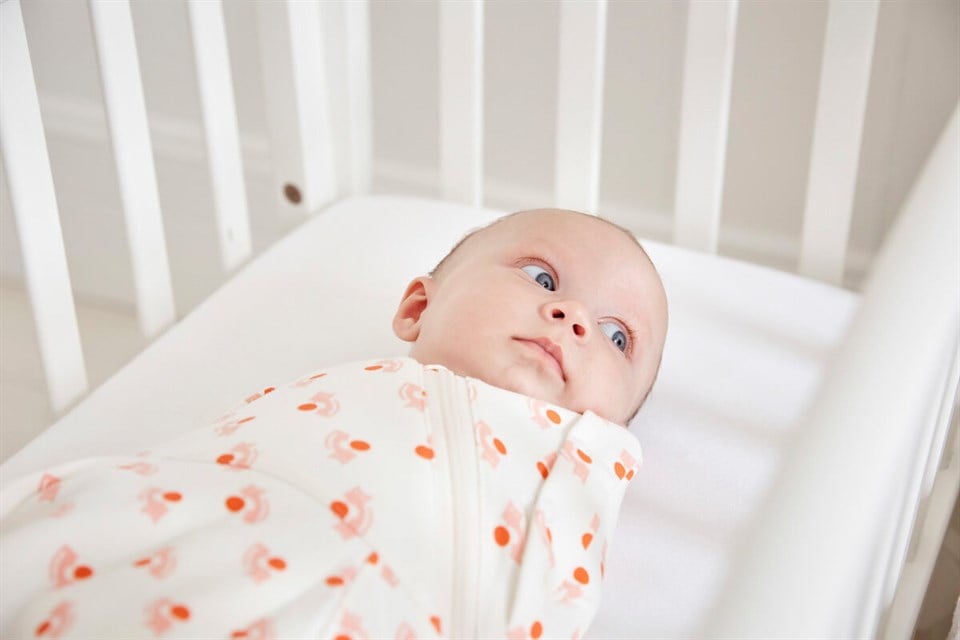 Gro Snug İkisi Bir Arada Kundak-Cats Orla Kiely