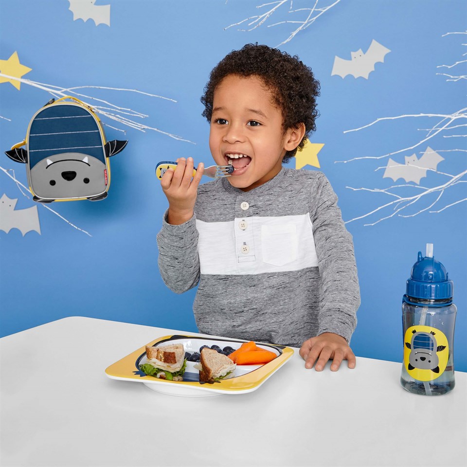 Skip Hop 2 Bölmeli Tabak Yarasa