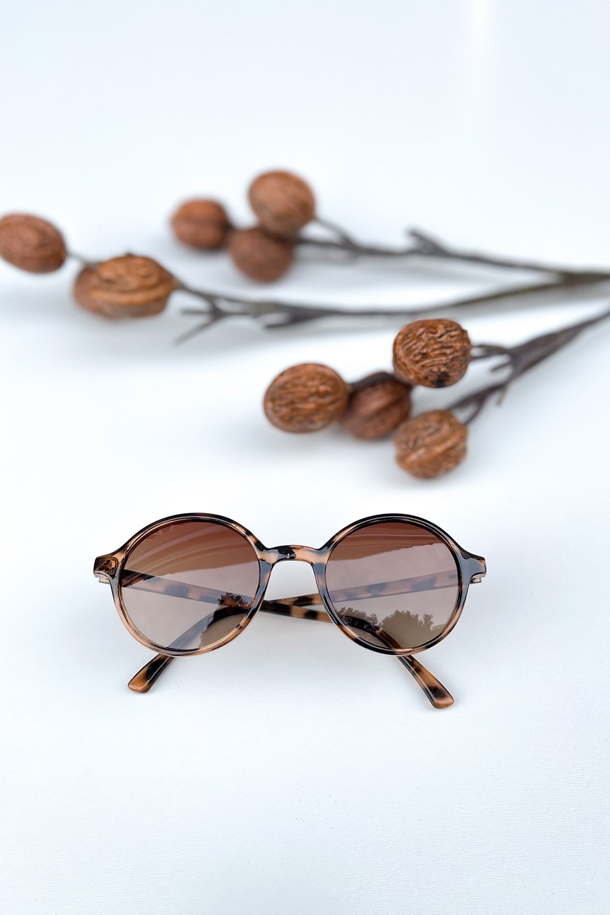 Will / Amber / Brown Degrade 