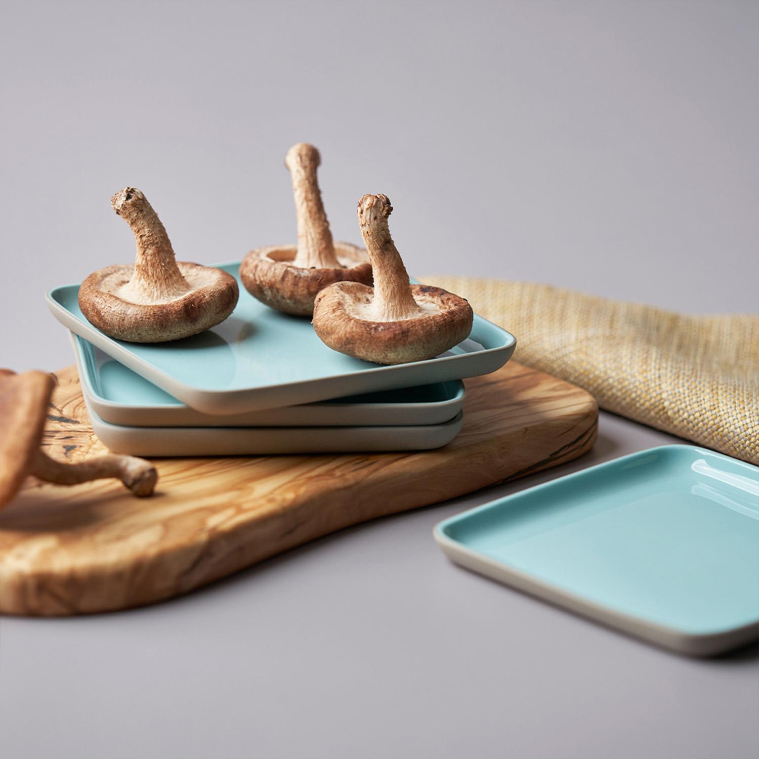 Square Bread Plate Double Colour