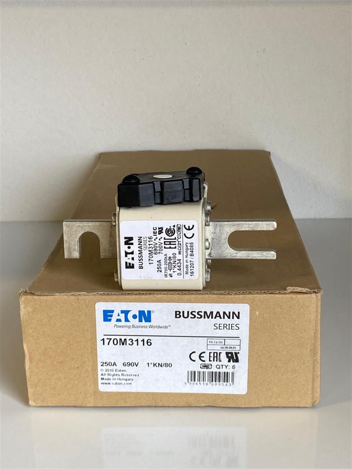 Eaton Bussmann170M3116 FUSE 250A 690V 1*KN/80 AR UC  Bussmann170M3116 FUSE 250A 690V 1*KN/80 AR UC  Bussmann