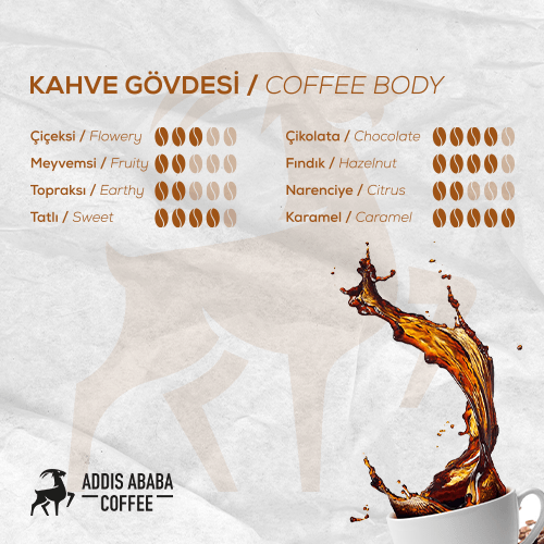 Kolombiya Single Origin 250 Gr. V60 Dripper