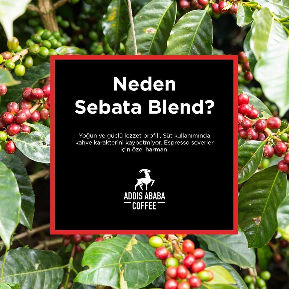Sebata Blend Kapsül Kahve 30'lu ( Nespresso Uyumlu Alüminyum Kapsül Kahve )