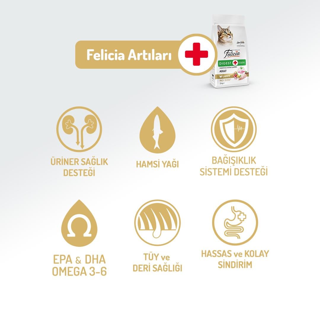 Felicia HypoAllergenic Tavuklu ve Hamsili Düşük Tahıllı Yetişkin Kedi Maması 2kg