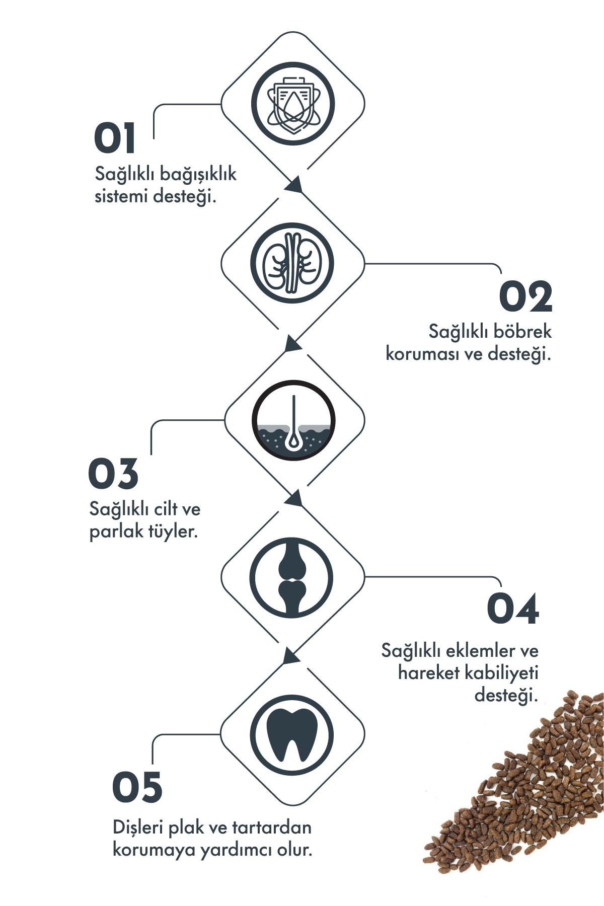 Pro Performance Kuzulu ve Yaban Mersinli Küçük Irk Yetişkin Köpek Maması 2 Kg