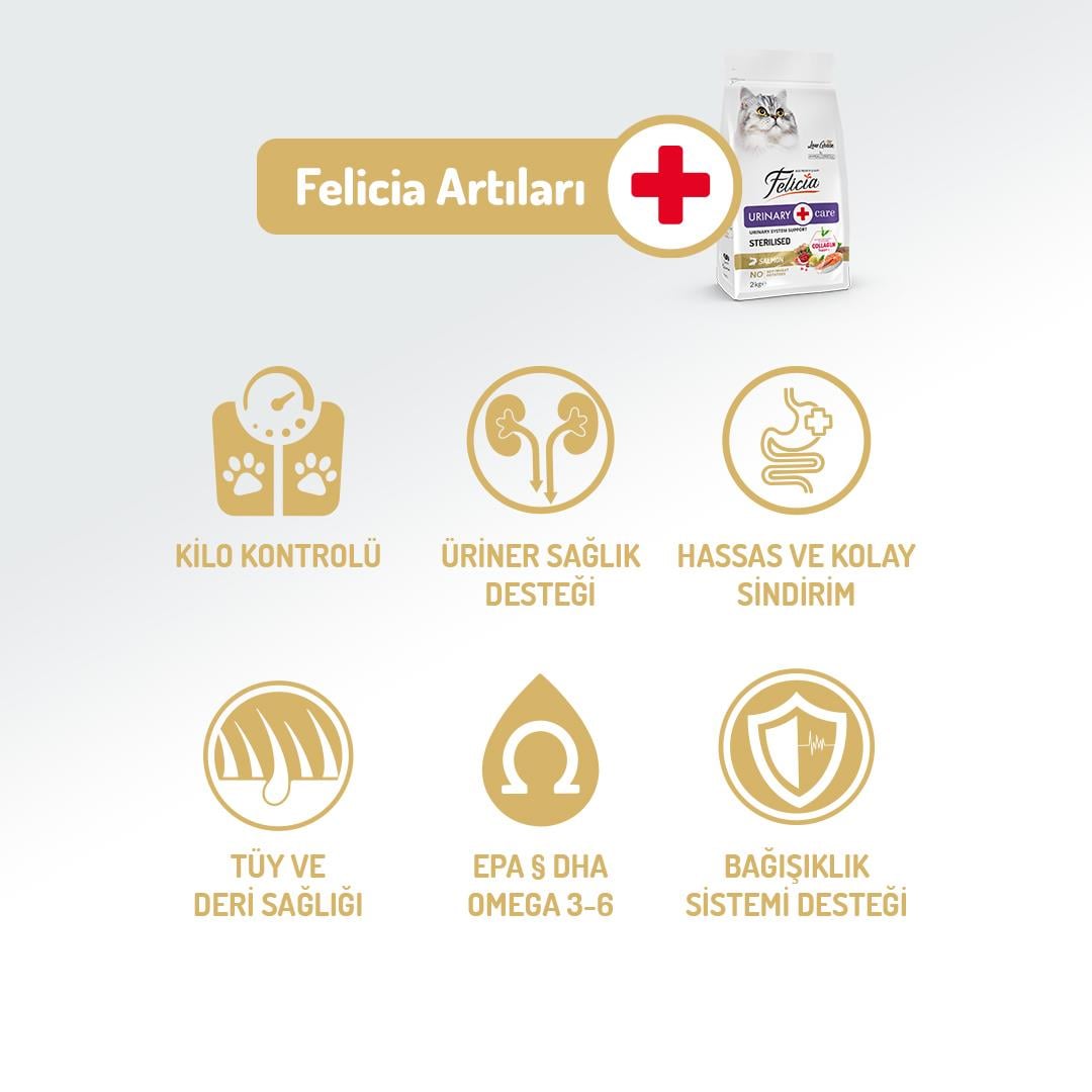 Felicia Hypo-Allergenic Üriner Sağlığı için Somonlu Düşük Tahıllı Kısırlaştırılmış Kedi Maması 12kg