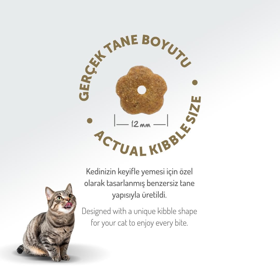 Felicia HypoAllergenic Tavuklu ve Hamsili Düşük Tahıllı Yetişkin Kedi Maması 12kg