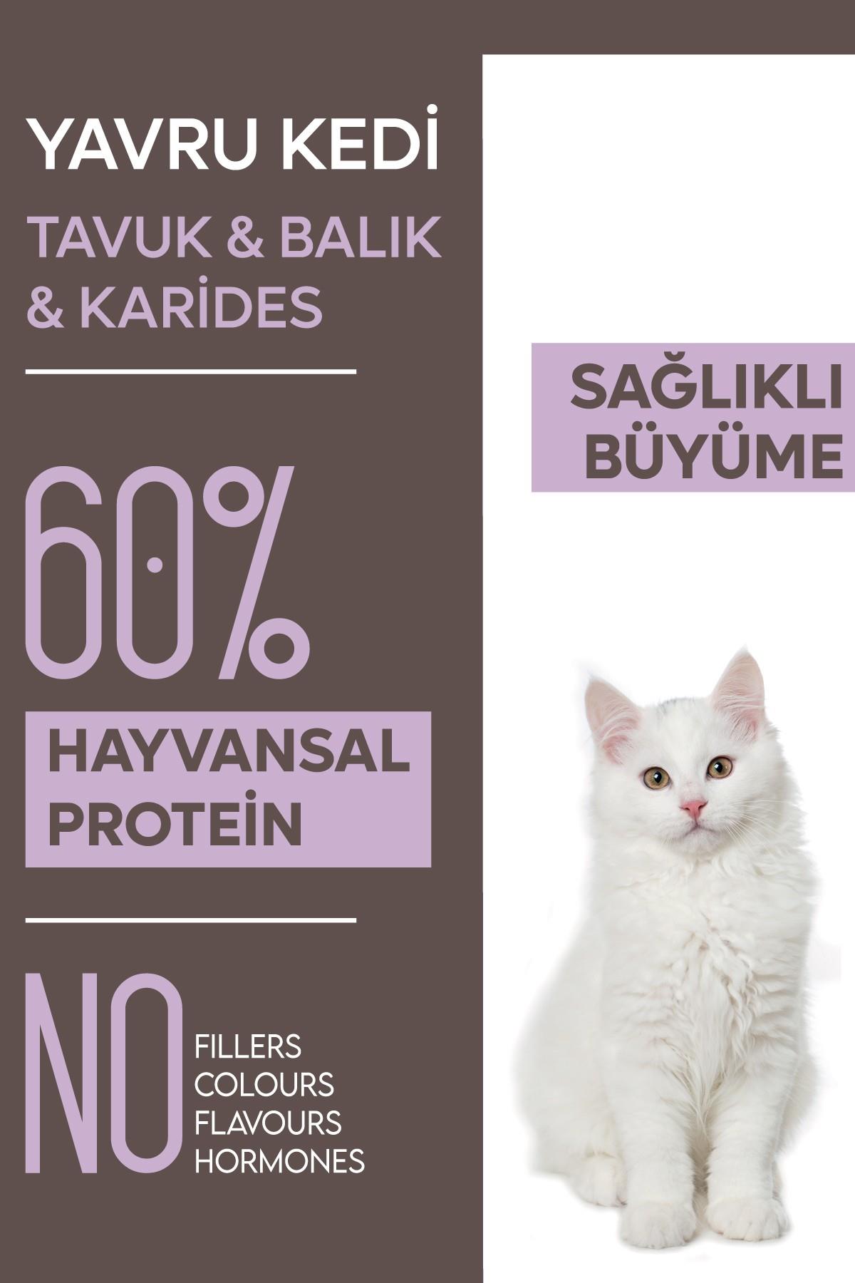 Animal World Tavuk Balık Ve Karidesli Yavru Kedi Maması 15 Kg