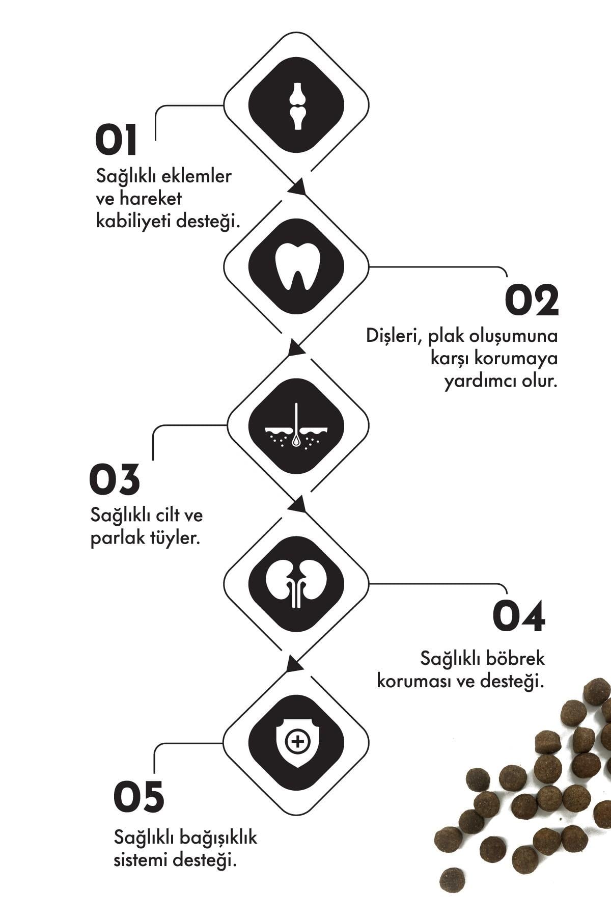 Pro Performance Somon ve Yaban Mersinli Orta ve Büyük Irk Yavru Köpek Maması 12 Kg