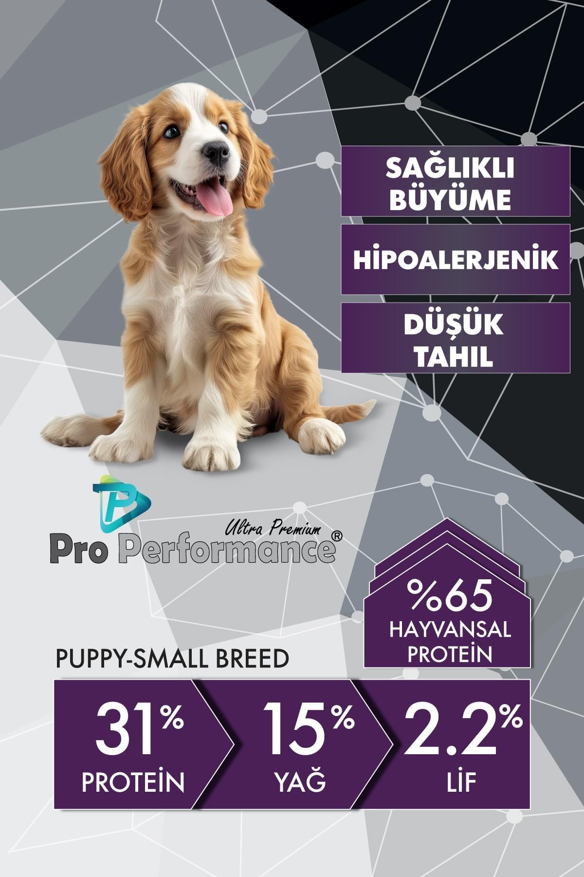 Pro Performance Kuzulu ve Yaban Mersinli Küçük Irk Yavru Köpek Maması 12 Kg