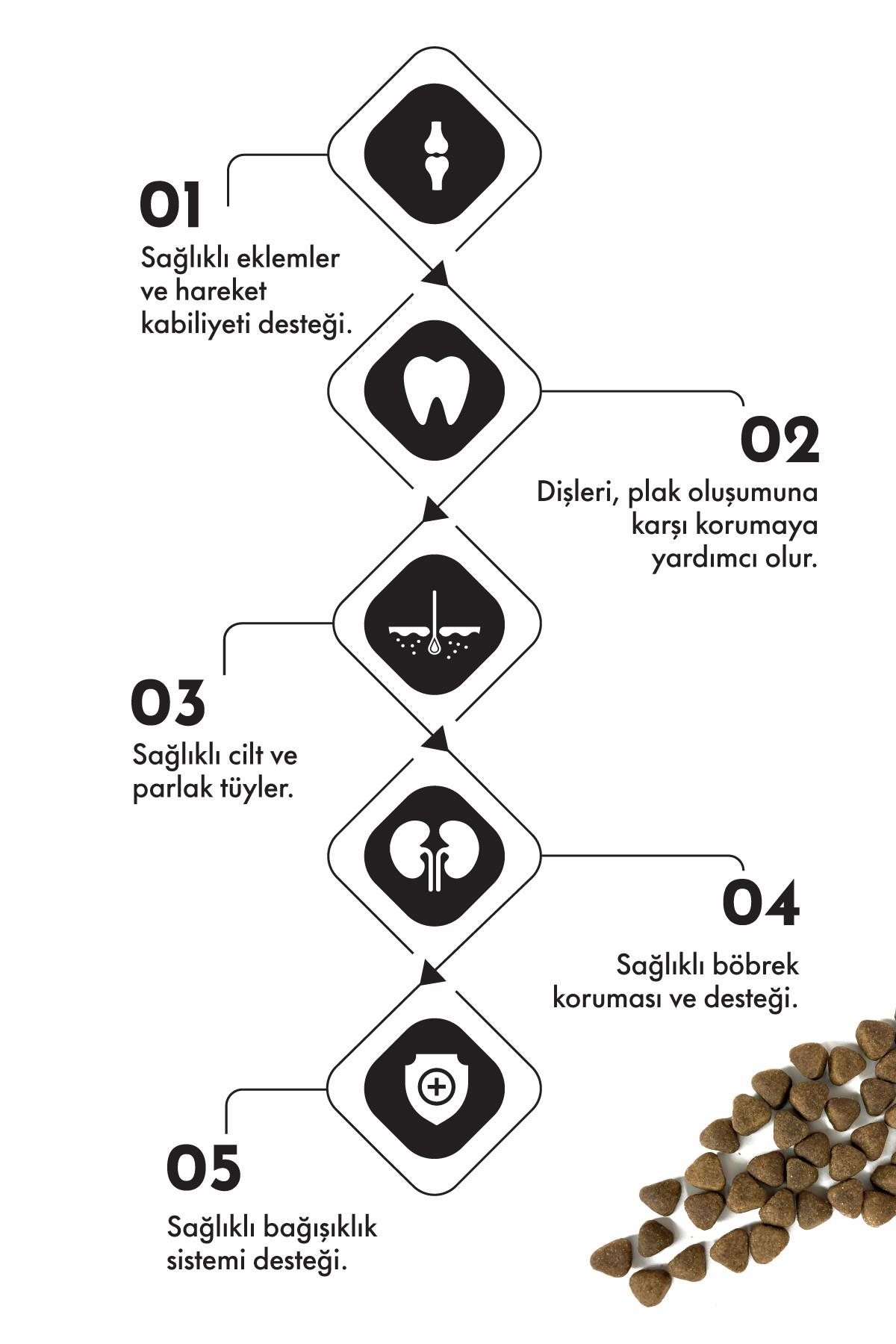 Pro Performance Somon ve Yaban Mersinli Orta ve Büyük Irk Yetişkin Köpek Maması 12 Kg
