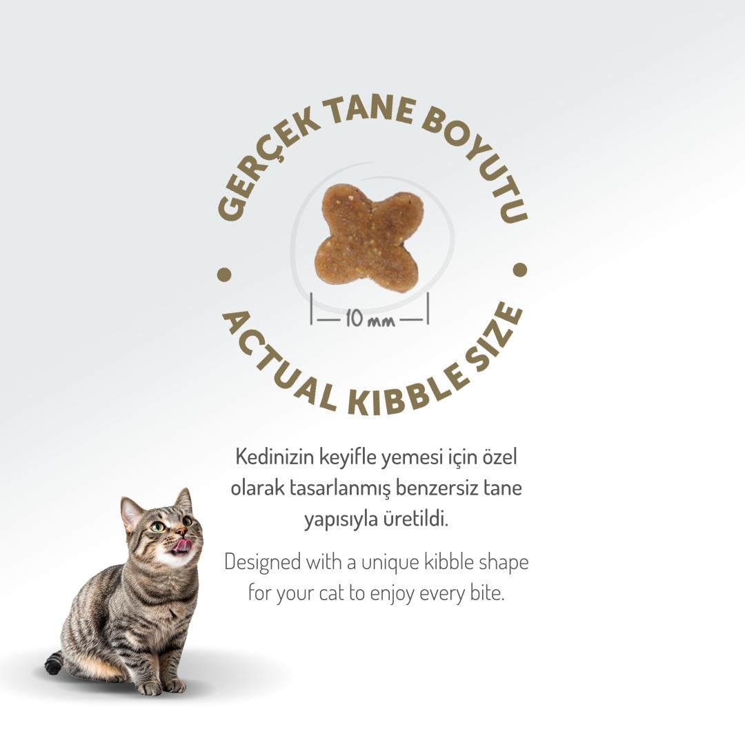 Felicia HypoAllergenic Tavuklu ve Hamsili Düşük Tahıllı Yavru Kedi Maması 12kg