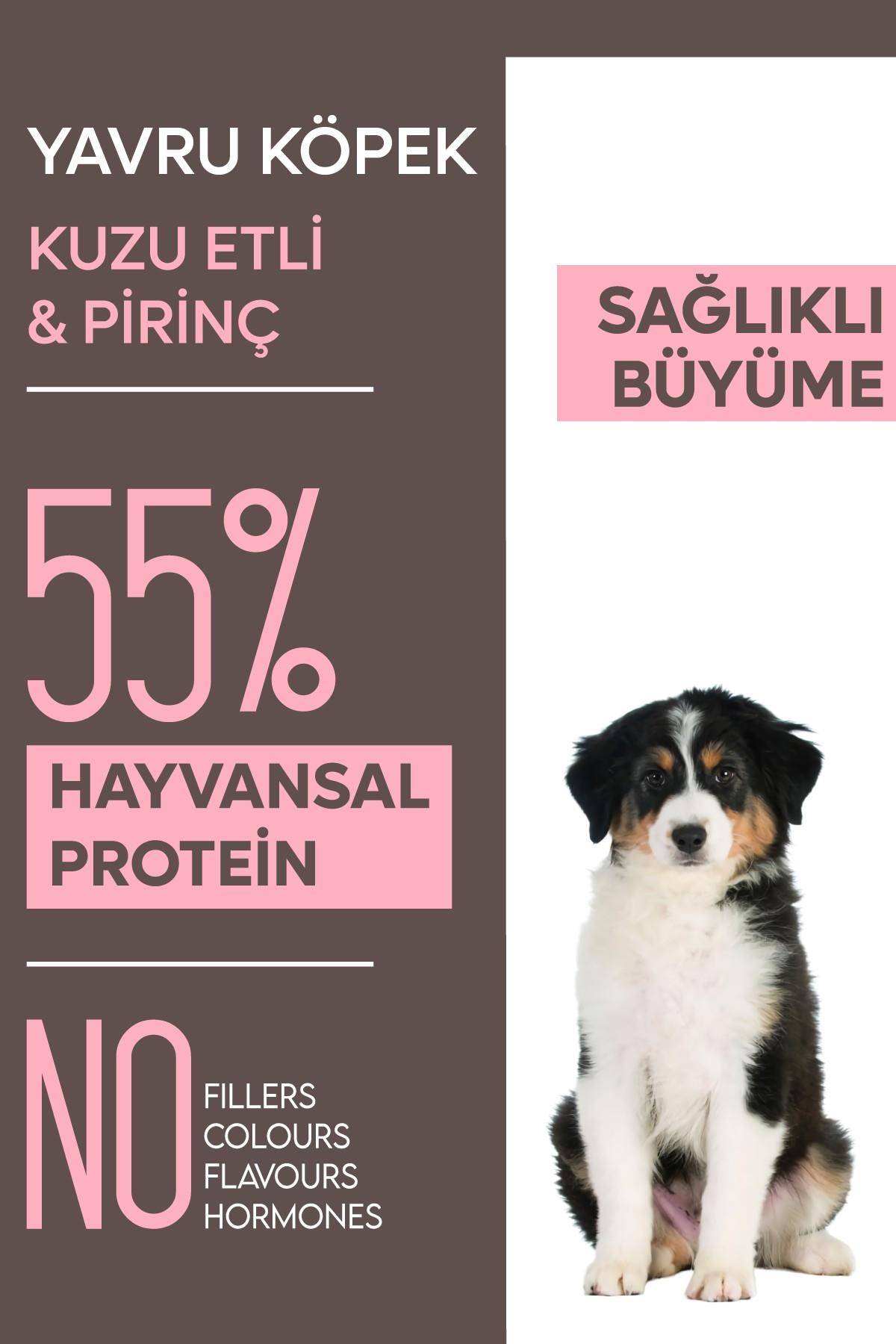 Animal World Kuzu Etli ve Pirinçli Yavru Köpek Maması 15 kg
