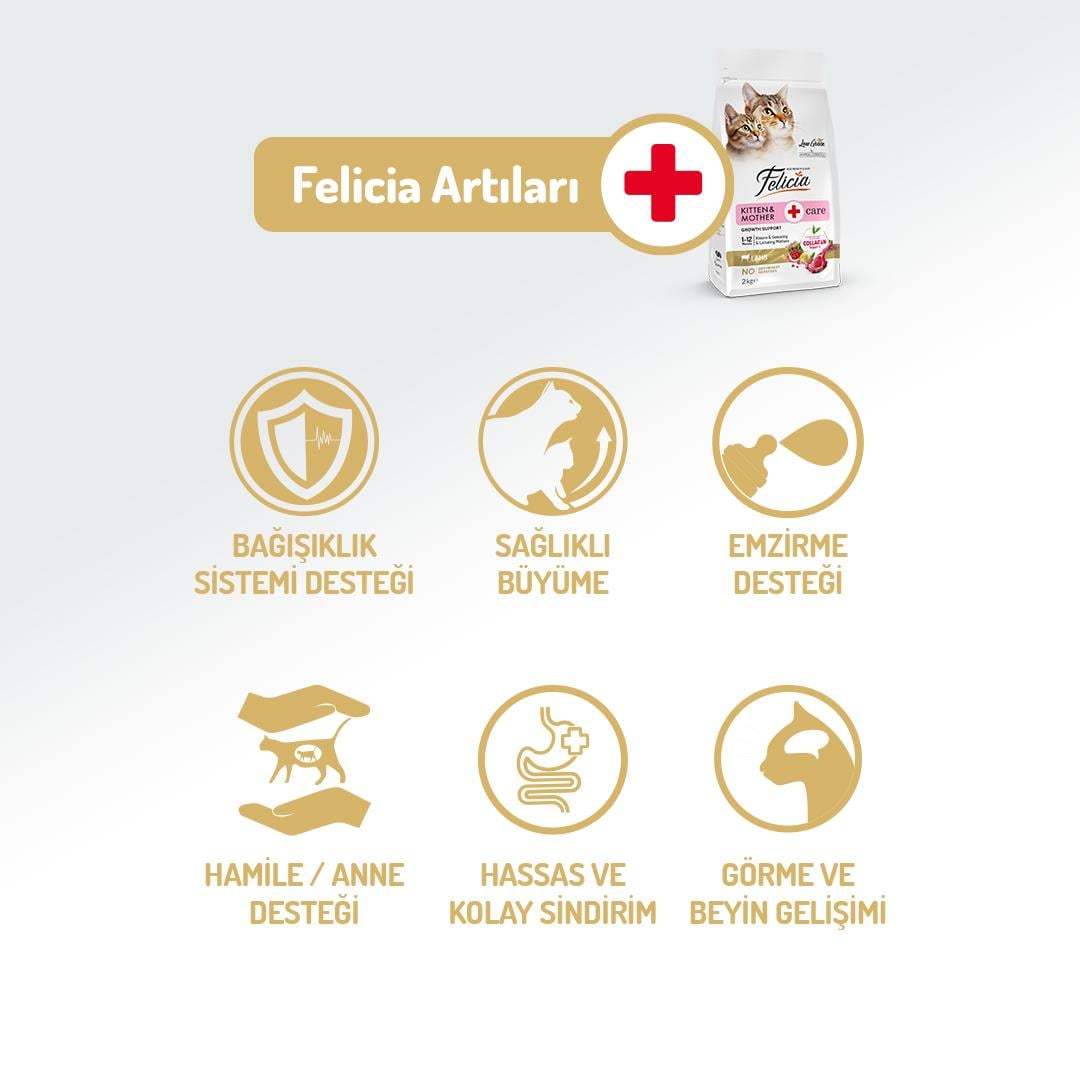 Felicia 2 Kg Yavru Kuzu Etli HypoAllergenic Kedi Maması