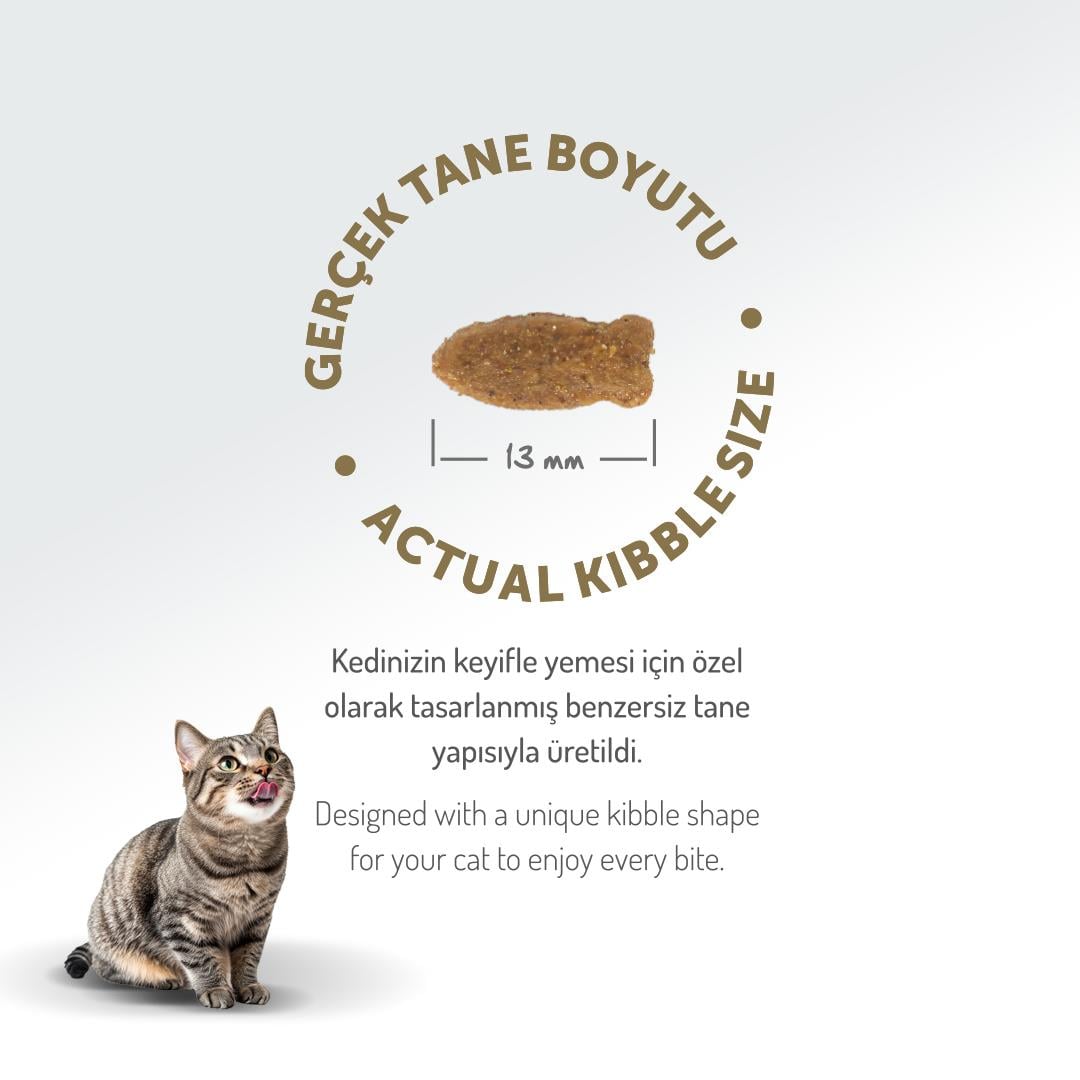 Felicia HypoAllergenic Somonlu Düşük Tahıllı Yetişkin Kedi Maması 2kg