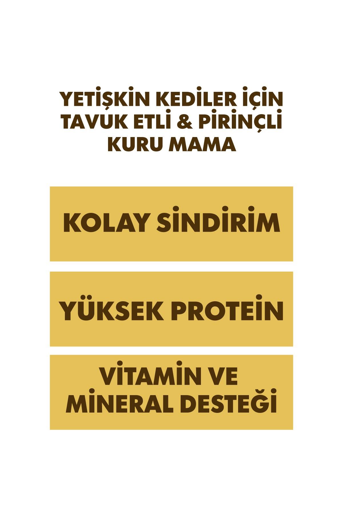 Pro Performance Premium Tavuk ve Pirinçli Yetişkin Kedi Maması 15kg