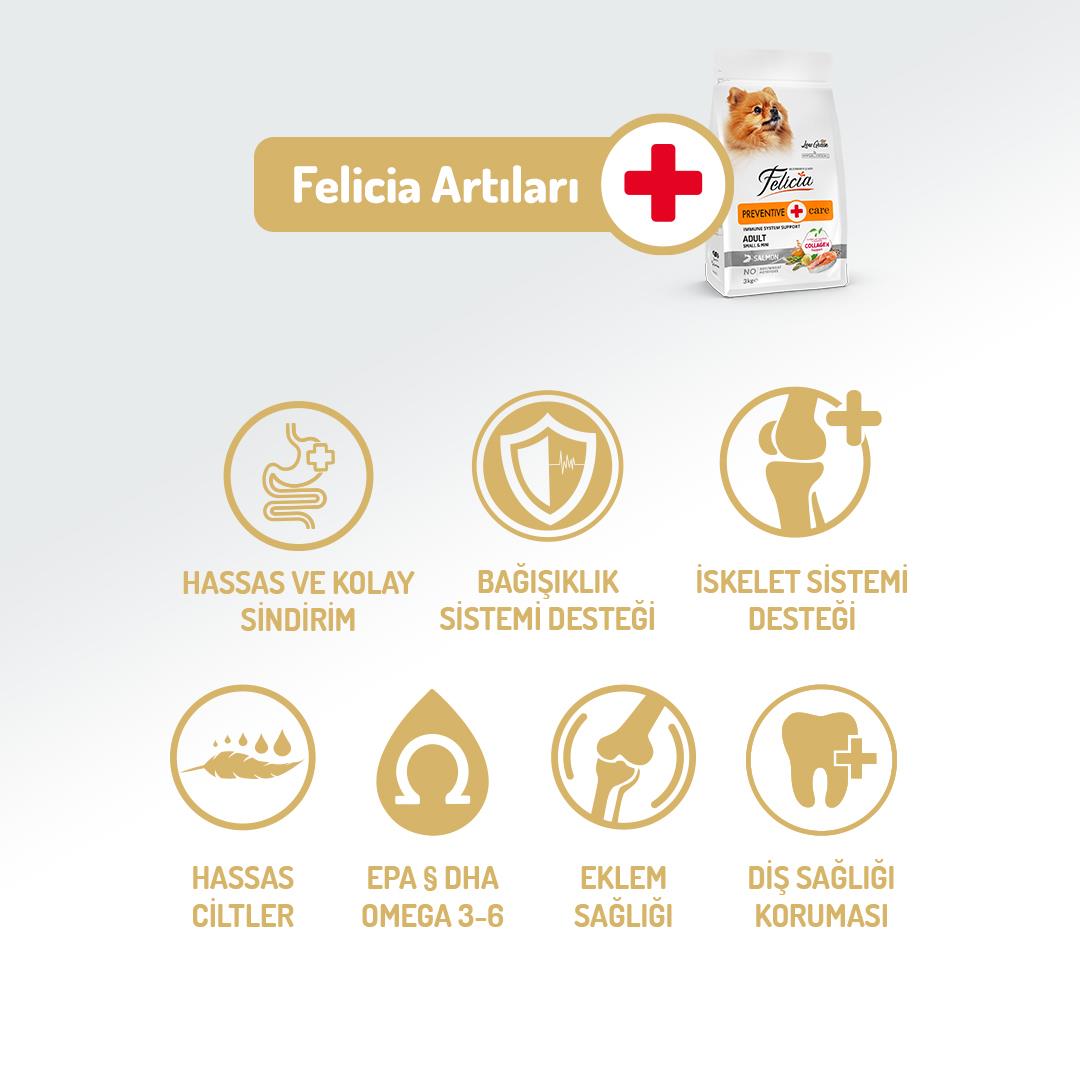 Felicia HypoAllergenic Somonlu Küçük Irk Düşük Tahıllı Yetişkin Köpek Maması 6kg