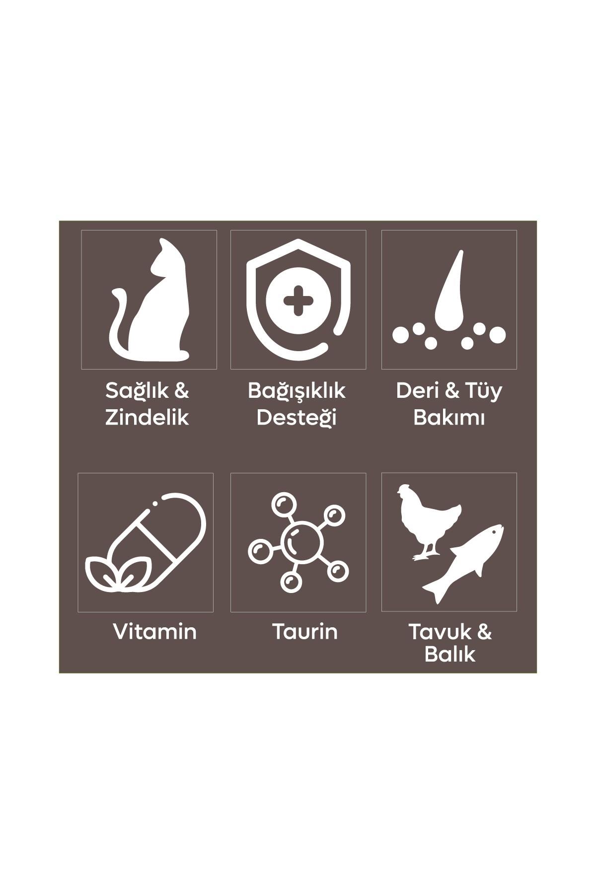 Animal World Tavuk Balık Ve Karidesli Yavru Kedi Maması 15 Kg