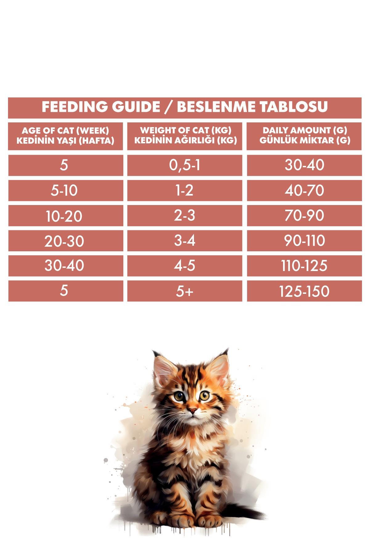 Pro Performance Mother Baby Kitten Somonlu ve Pirinçli Anne Yavru Kedi Maması 2 Kg