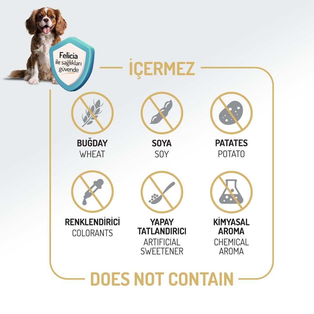 Felicia HypoAllergenic Orta ve Büyük Irk Kuzulu Düşük Tahıllı Yetişkin Köpek Maması 3kg