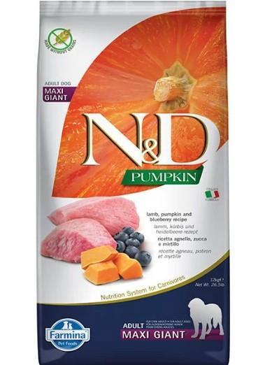 N&D Pumpkin Balkabaklı Kuzulu Yaban Mersinli Maxi Giant Tahılsız Yetişkin Köpek Maması 12 Kg