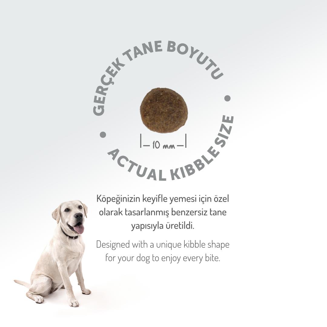Felicia HypoAllergenic Somonlu Küçük Irk Düşük Tahıllı Yetişkin Köpek Maması 6kg