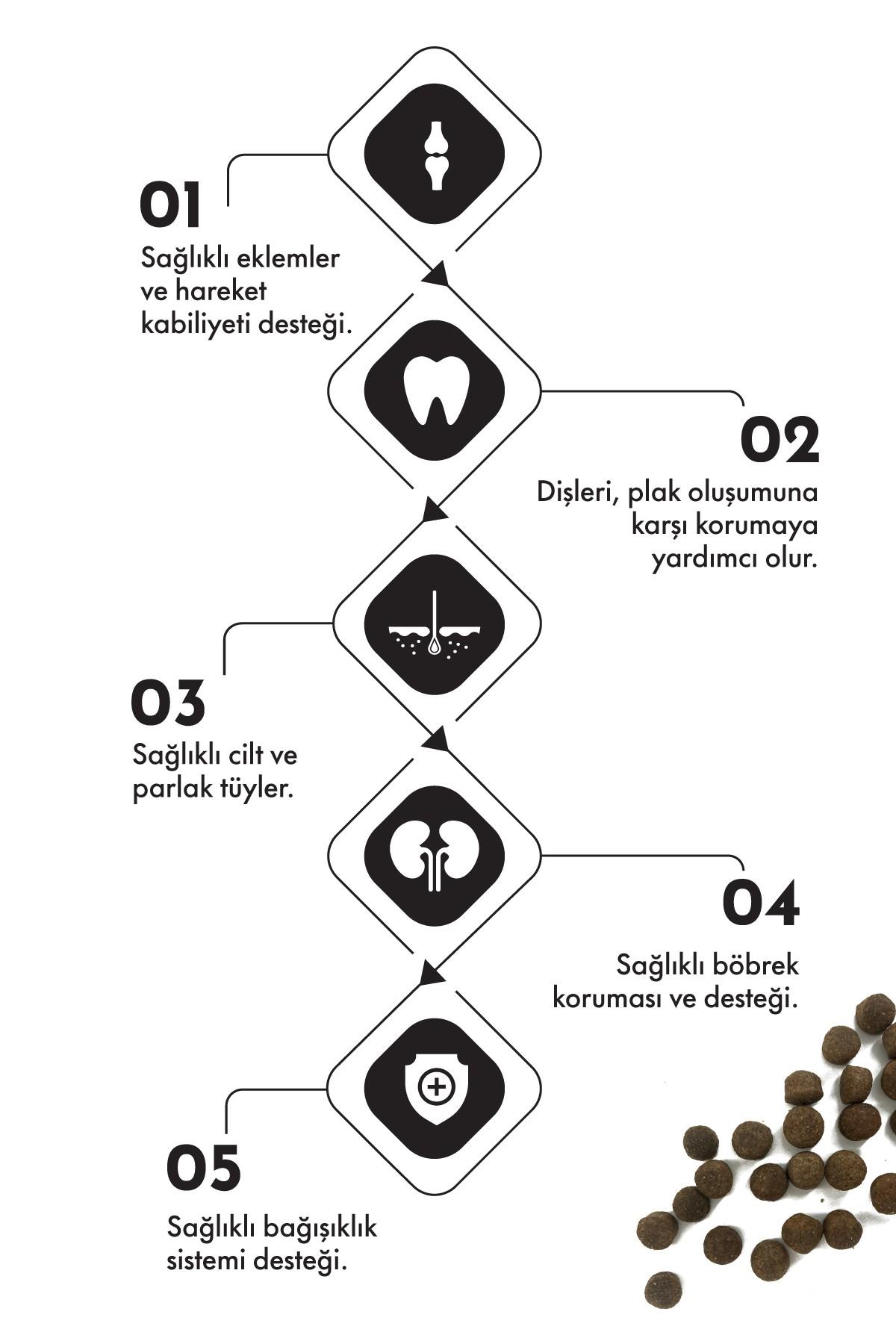 Pro Performance Kuzulu ve Yaban Mersinli Orta ve Büyük Irk Yavru Köpek Maması 12 Kg