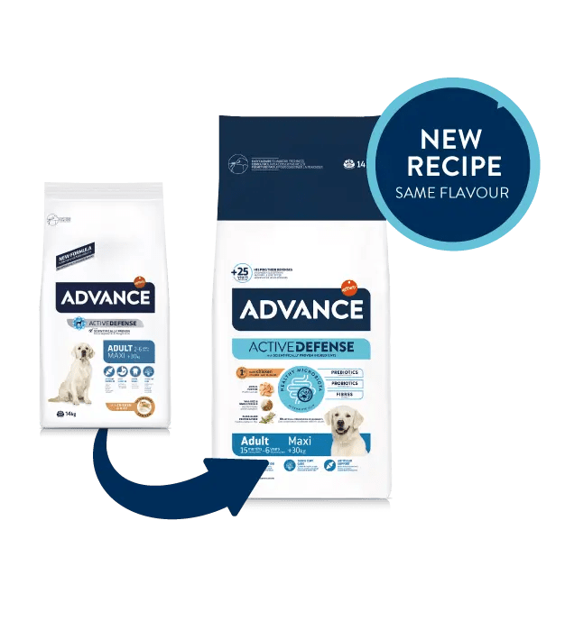 Advance Tavuklu ve Pirinçli Büyük Irk Yetişkin Köpek Maması 14kg