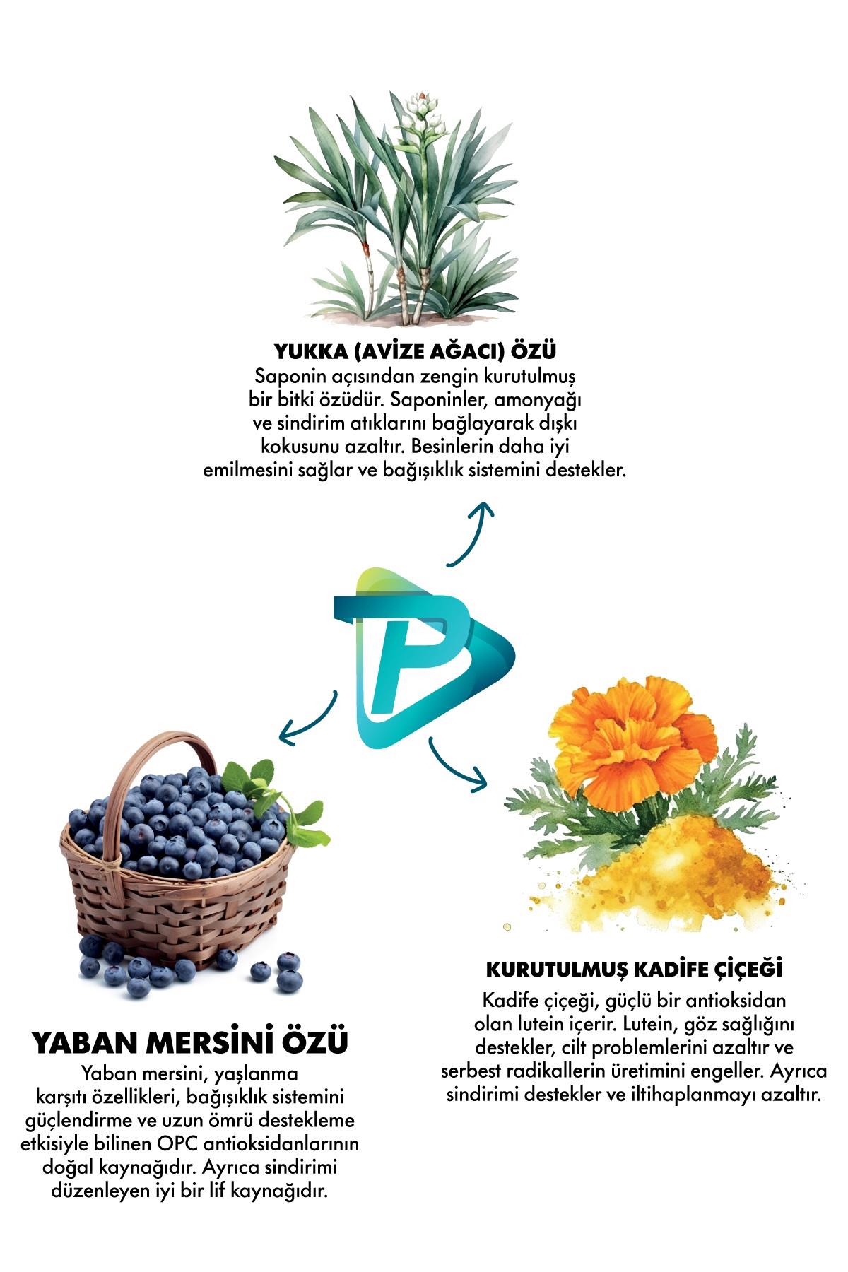 Pro Performance Kuzulu ve Yaban Mersinli Orta ve Büyük Irk Yavru Köpek Maması 12 Kg