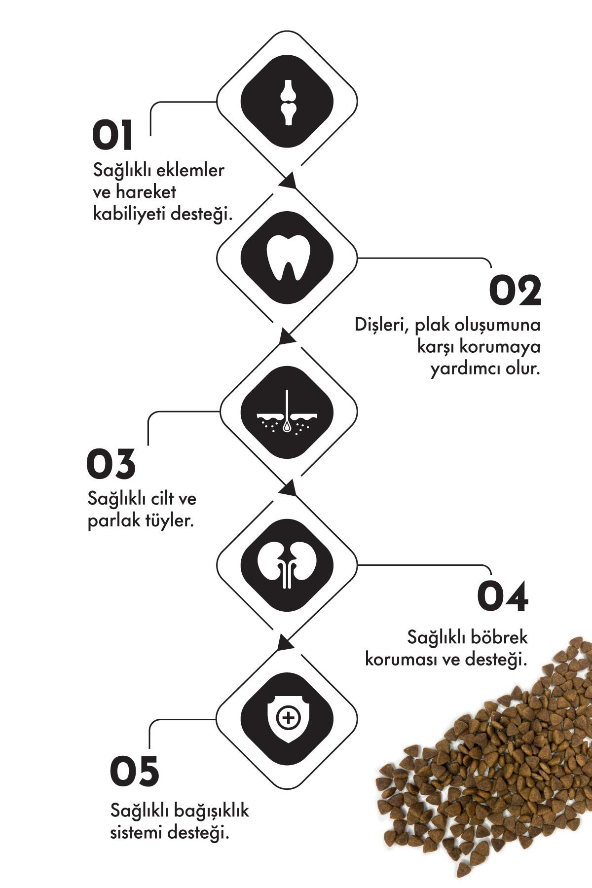 Pro Performance Kuzulu ve Yaban Mersinli Küçük Irk Yetişkin Köpek Maması 12 Kg