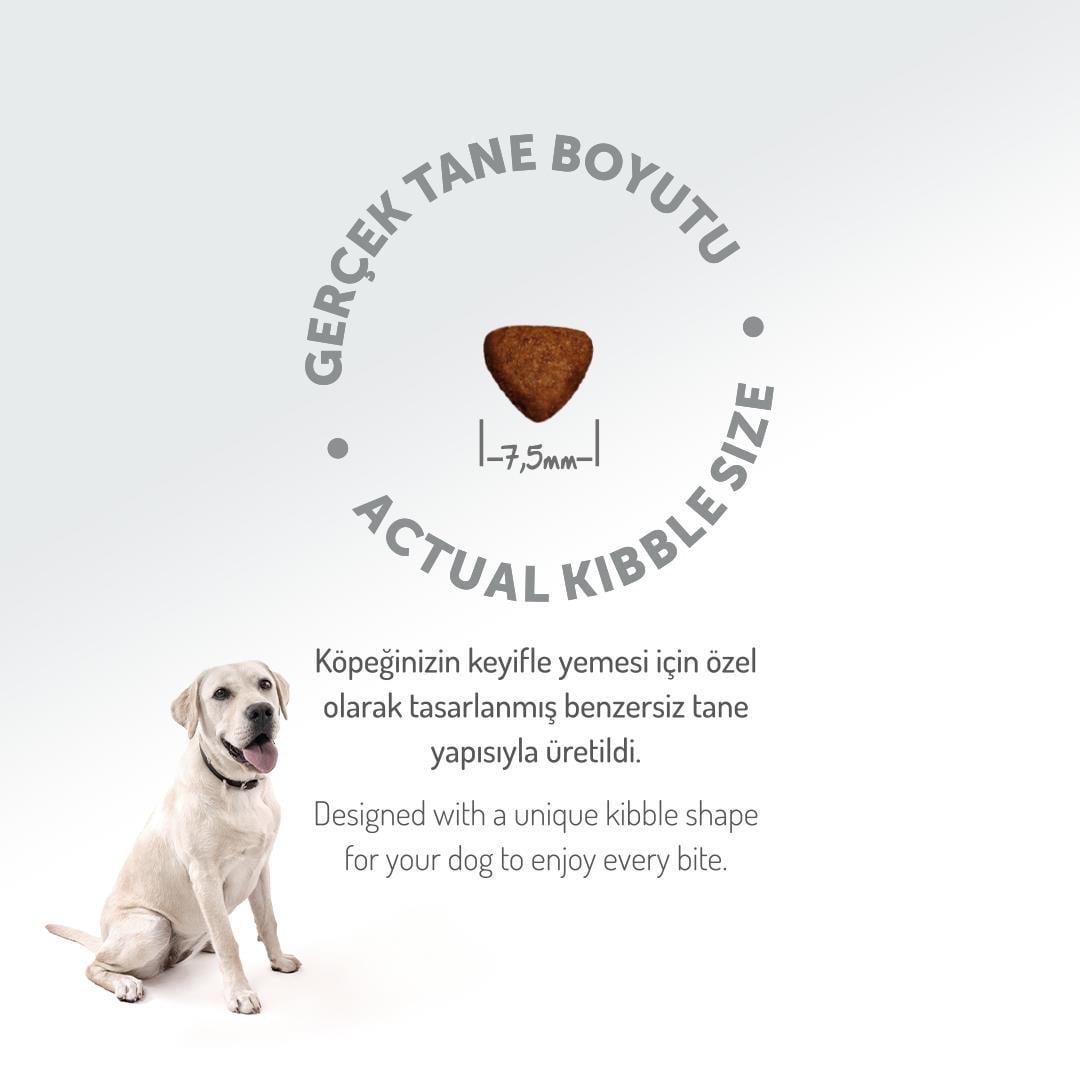 Felicia HypoAllergenic Kuzulu Küçük/Orta Irk Düşük Tahıllı Yavru Köpek Maması 3kg