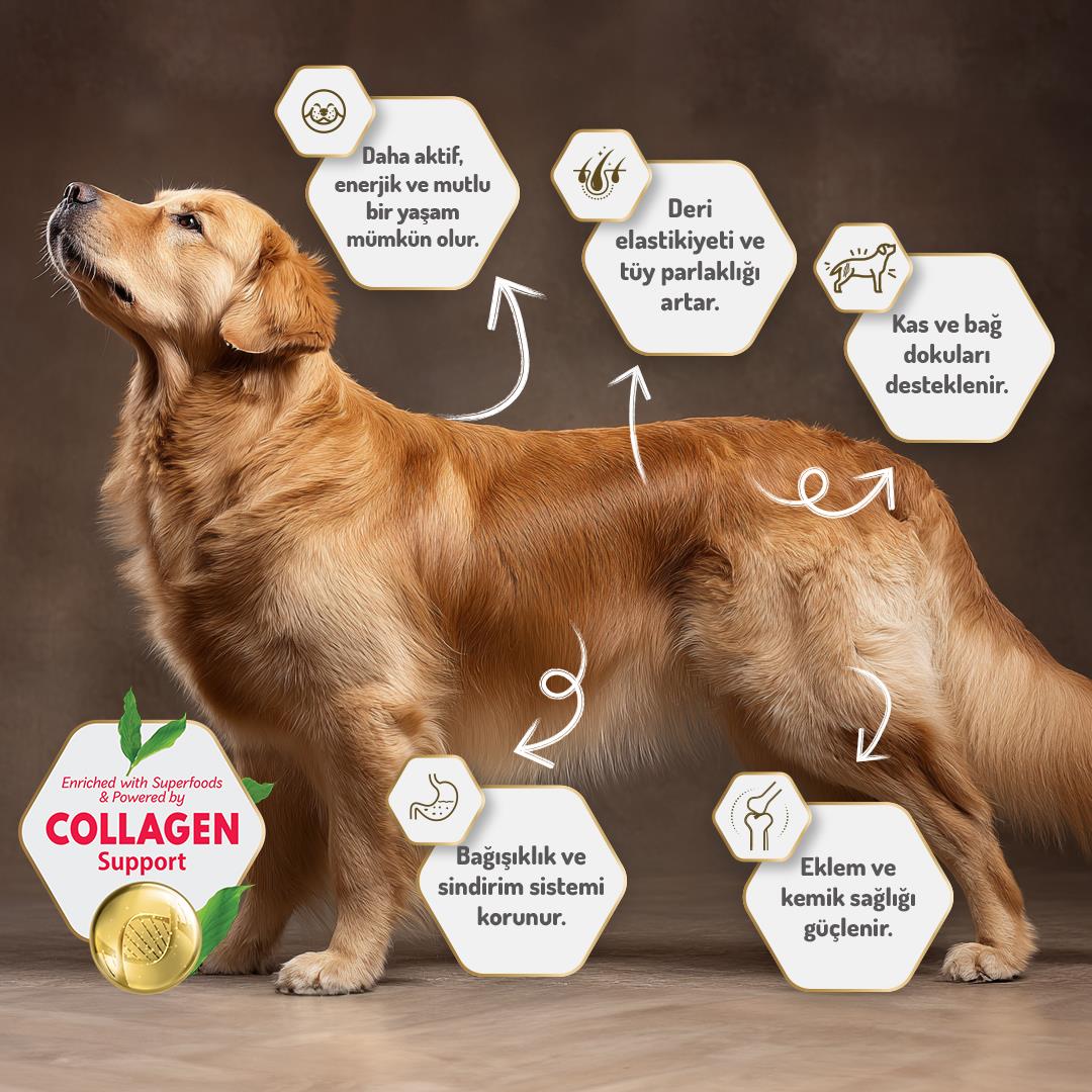 Felicia HypoAllergenic Kuzulu Pirinçli Küçük Irk Düşük Tahıllı Yavru Köpek Maması 6kg