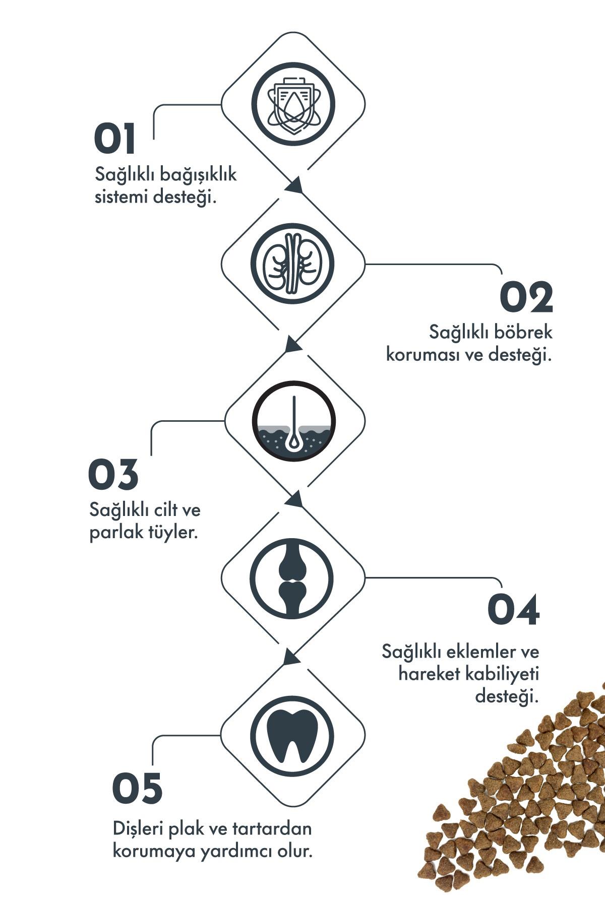Pro Performance Light Kuzu ve Yaban Mersinli Küçük Irk  Kısır Köpek Maması 2 Kg