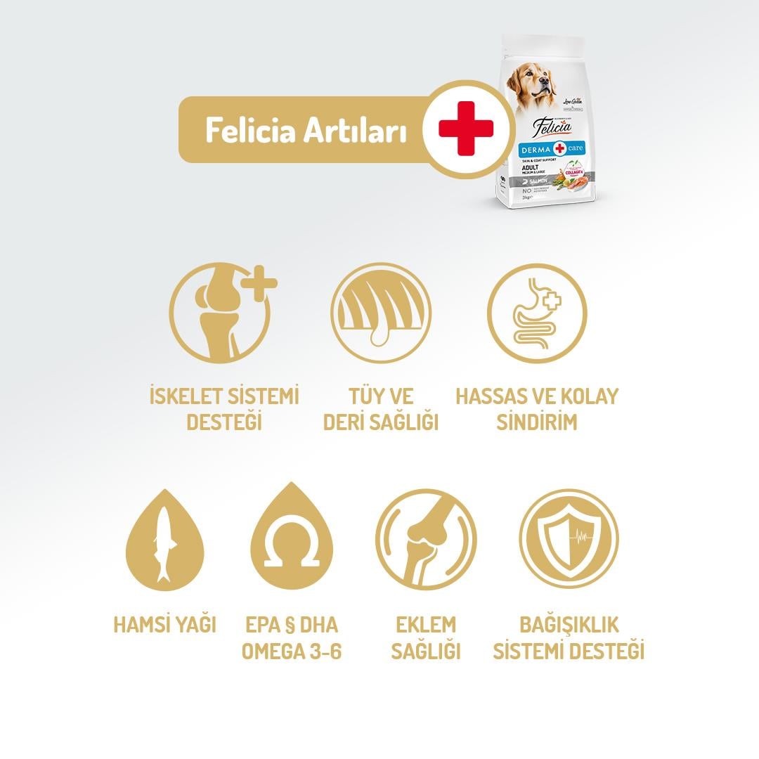 Felicia HypoAllergenic Somonlu Düşük Tahıllı Yetişkin Köpek Maması 3kg