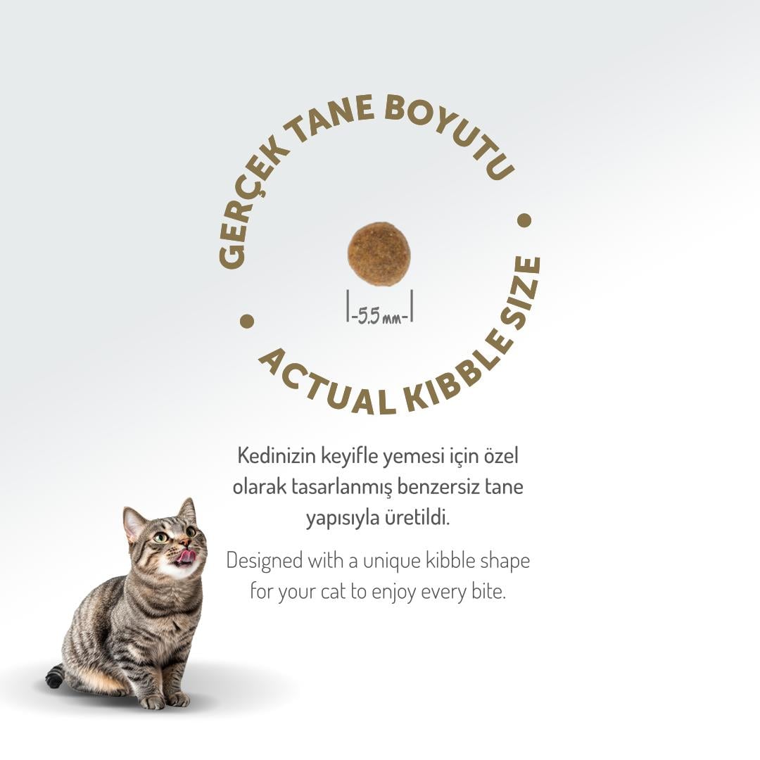 Felicia 2 Kg Yavru Kuzu Etli HypoAllergenic Kedi Maması