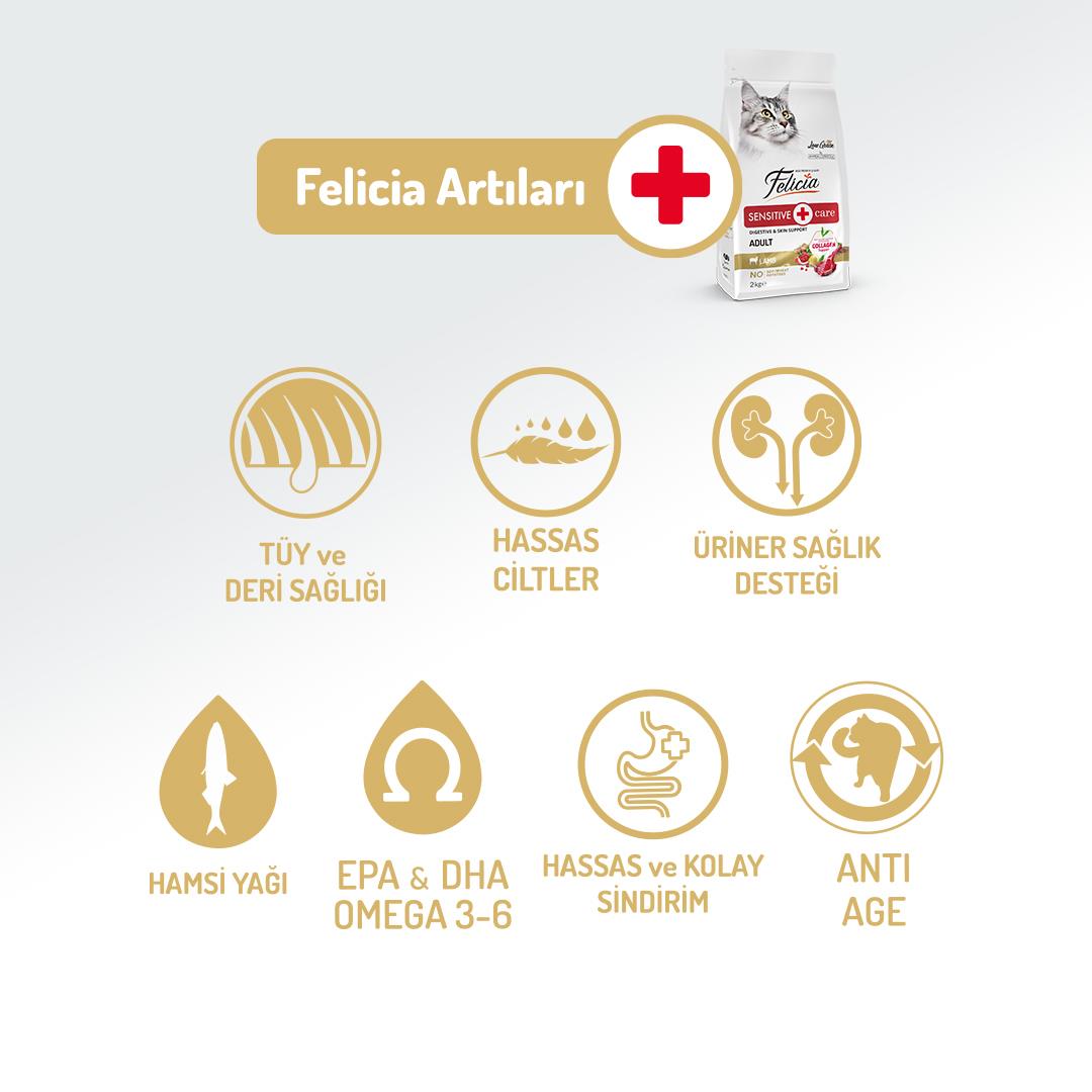 Felicia HypoAllergenic Kuzu Etli Düşük Tahıllı Yetişkin Kedi Maması 2kg