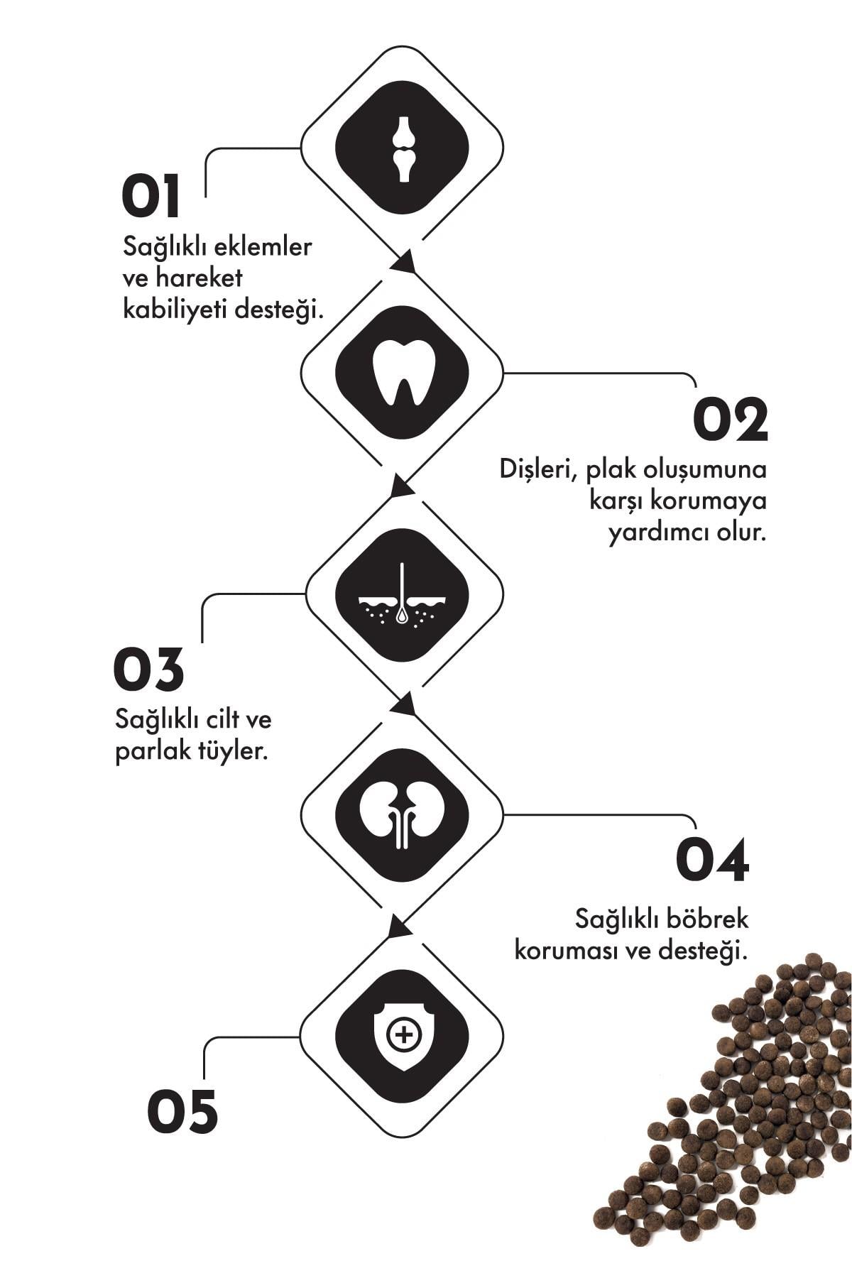 Pro Performance Kuzu, Karides ve Somonlu Kısır Kedi Maması 2kg
