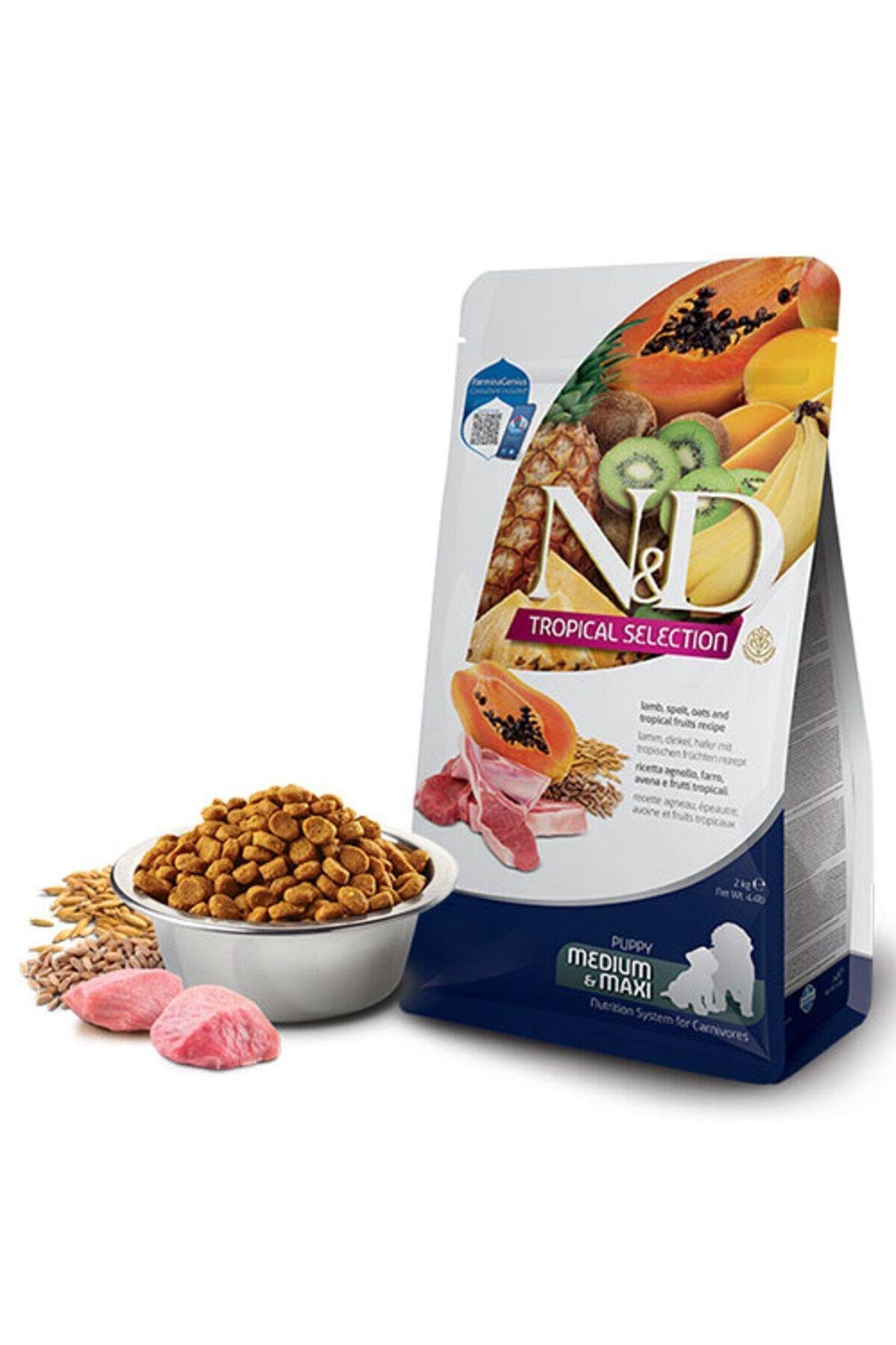 N&D Tropical Selection Kuzu Etli ve Tropikal Meyveli Orta ve Büyük Irk Yavru Köpek Maması 10kg