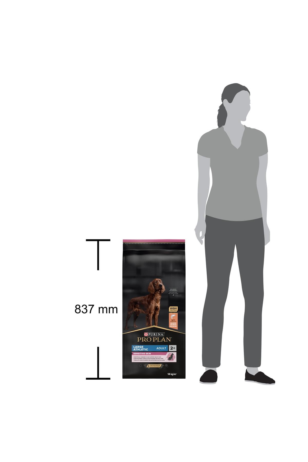 Pro Plan Large Athletic Somonlu Büyük Irk Yetişkin Köpek Maması 14kg