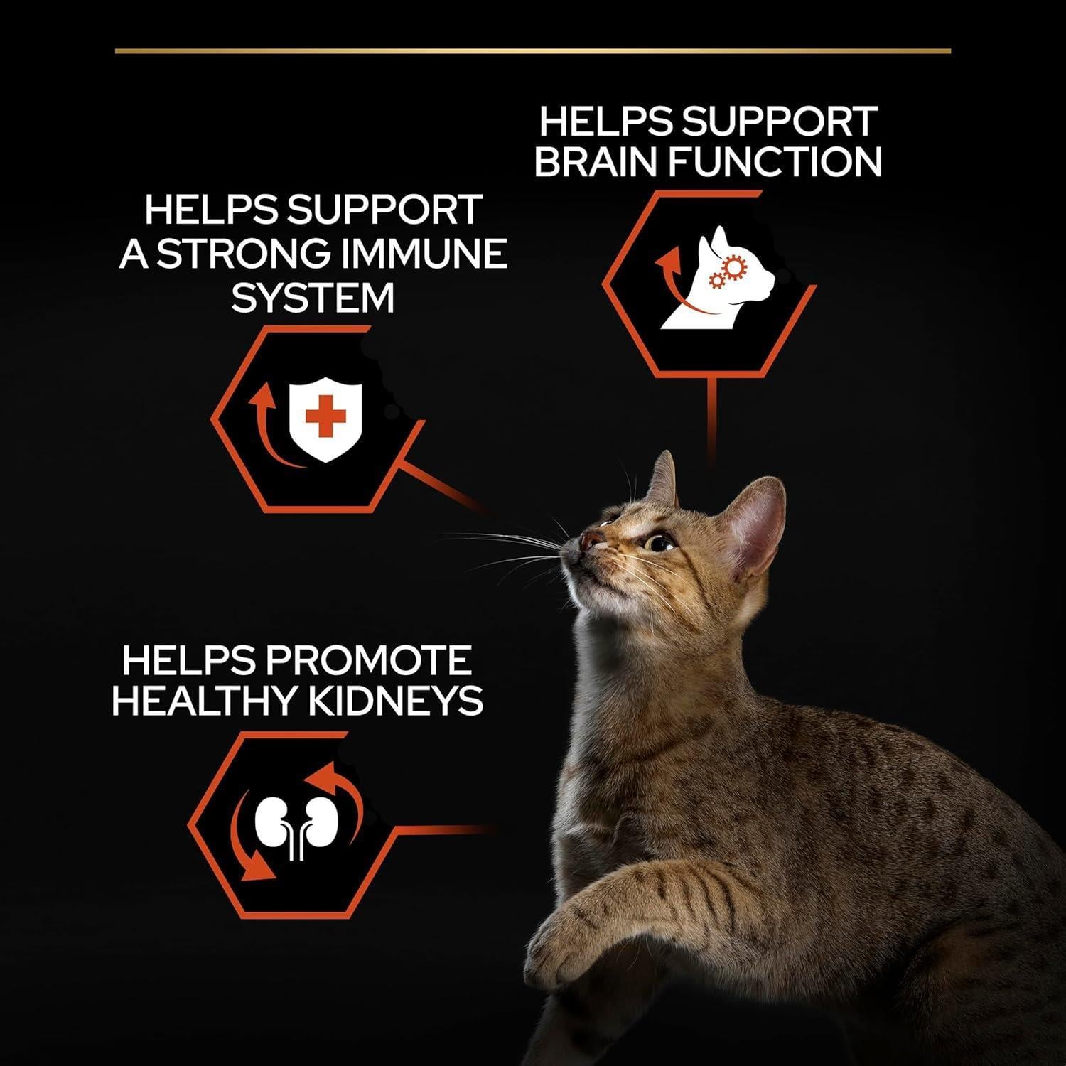 Pro Plan Somonlu ve Pirinçli Yetişkin Kedi Maması 3kg