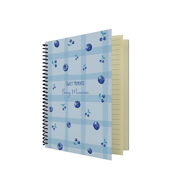 DEFTER DİLMAN MEYVE 16x22 60Y KARELİ KARTON KAPAK