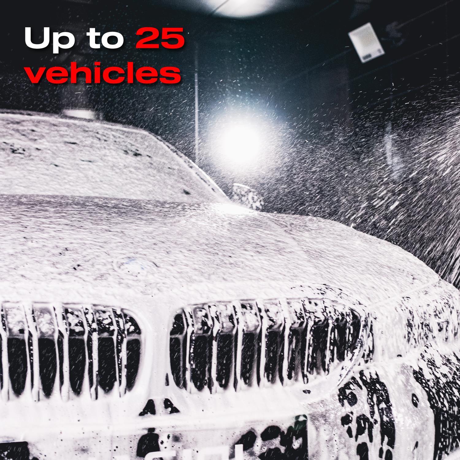 Nasiol Cleanion Pro Yoğun Köpüklü Konsantre Araç Yıkama Şampuanı-25 Yıkama-500gr