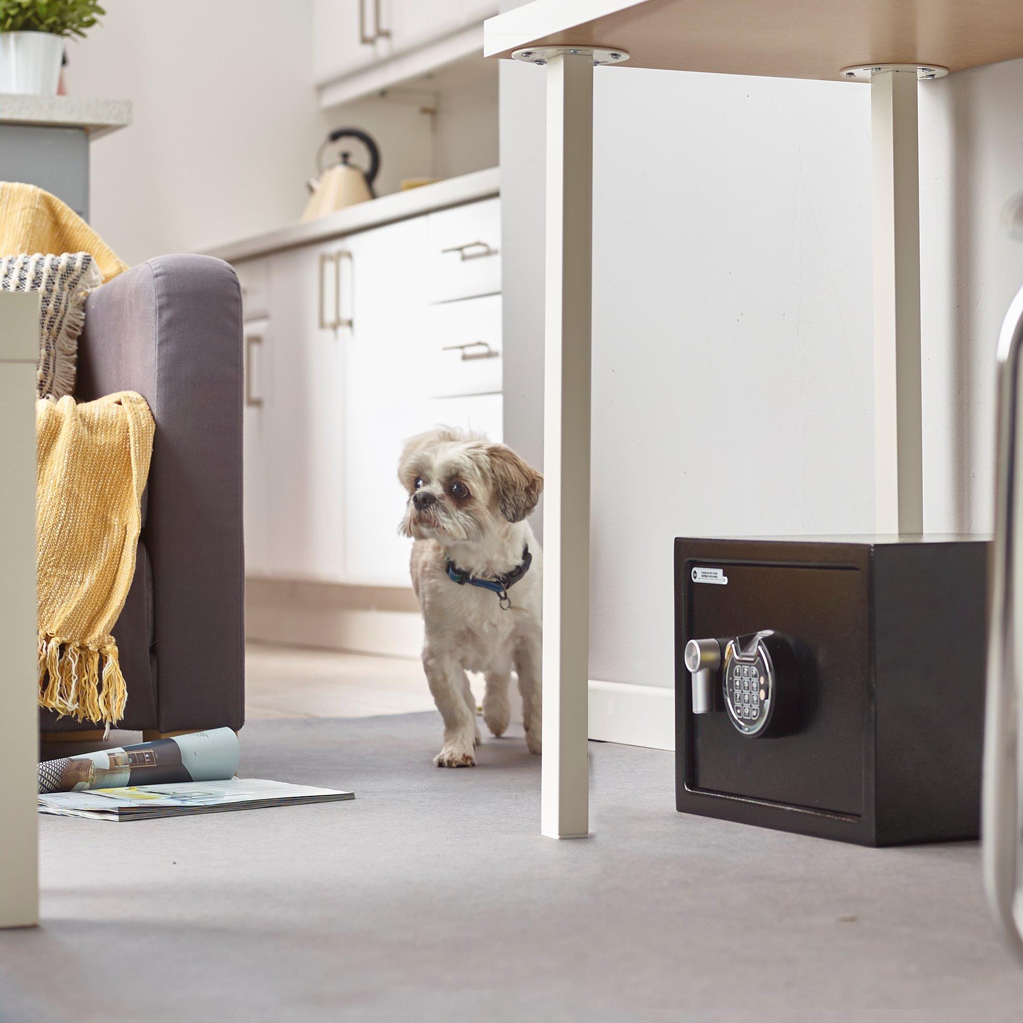 Parmak İzli ve Şifreli Orta Boy Kollu Kasa - YSF/250/DB1