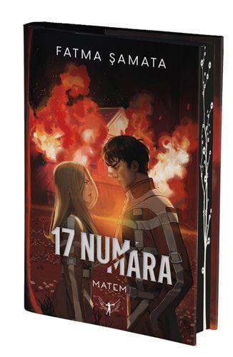 17 Numara Matem 