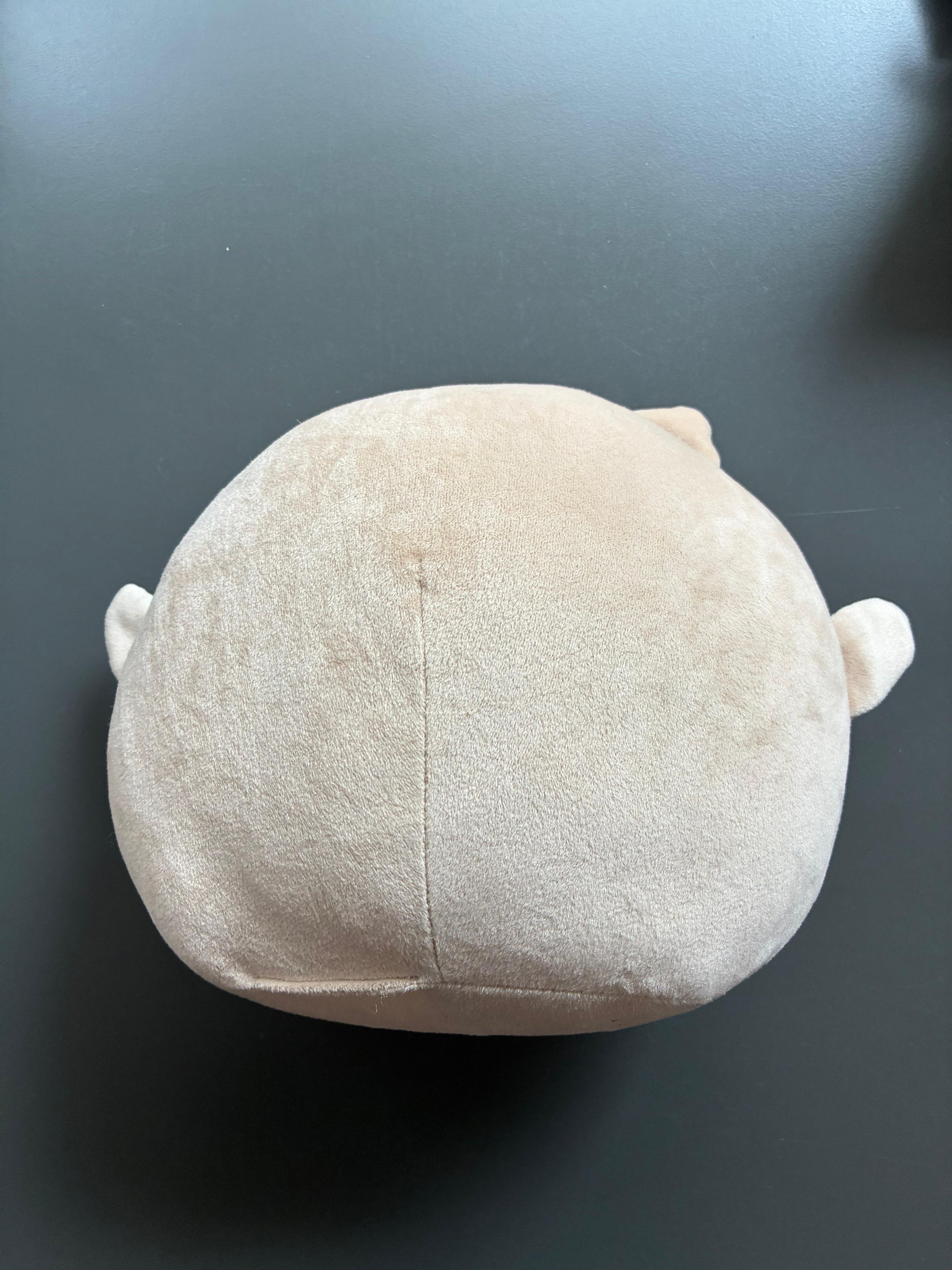 35 cm Yumuşak Kedi Yastık