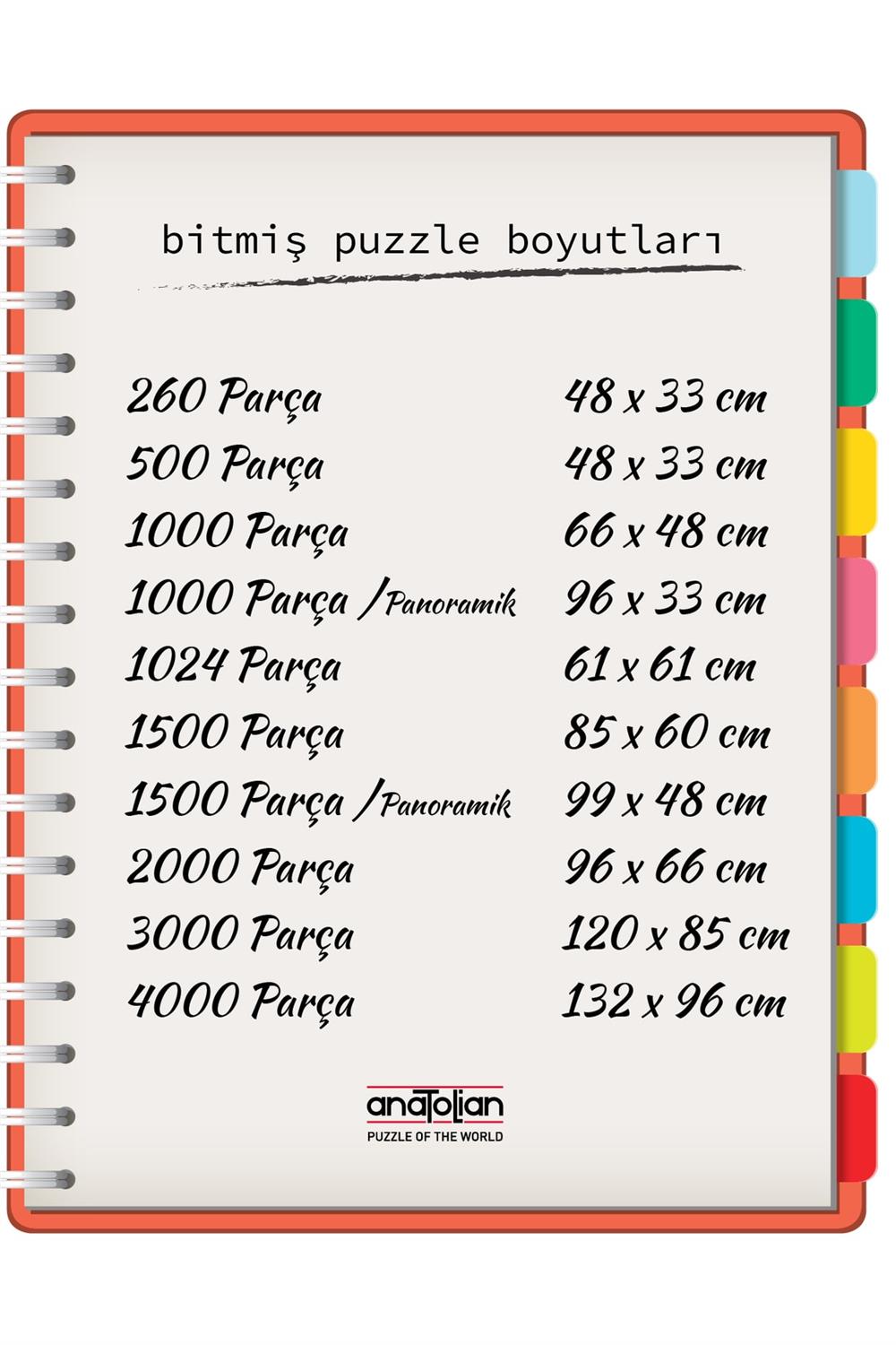 Anatolian 260 Parça Puzzle / Astronot - Kod 3339