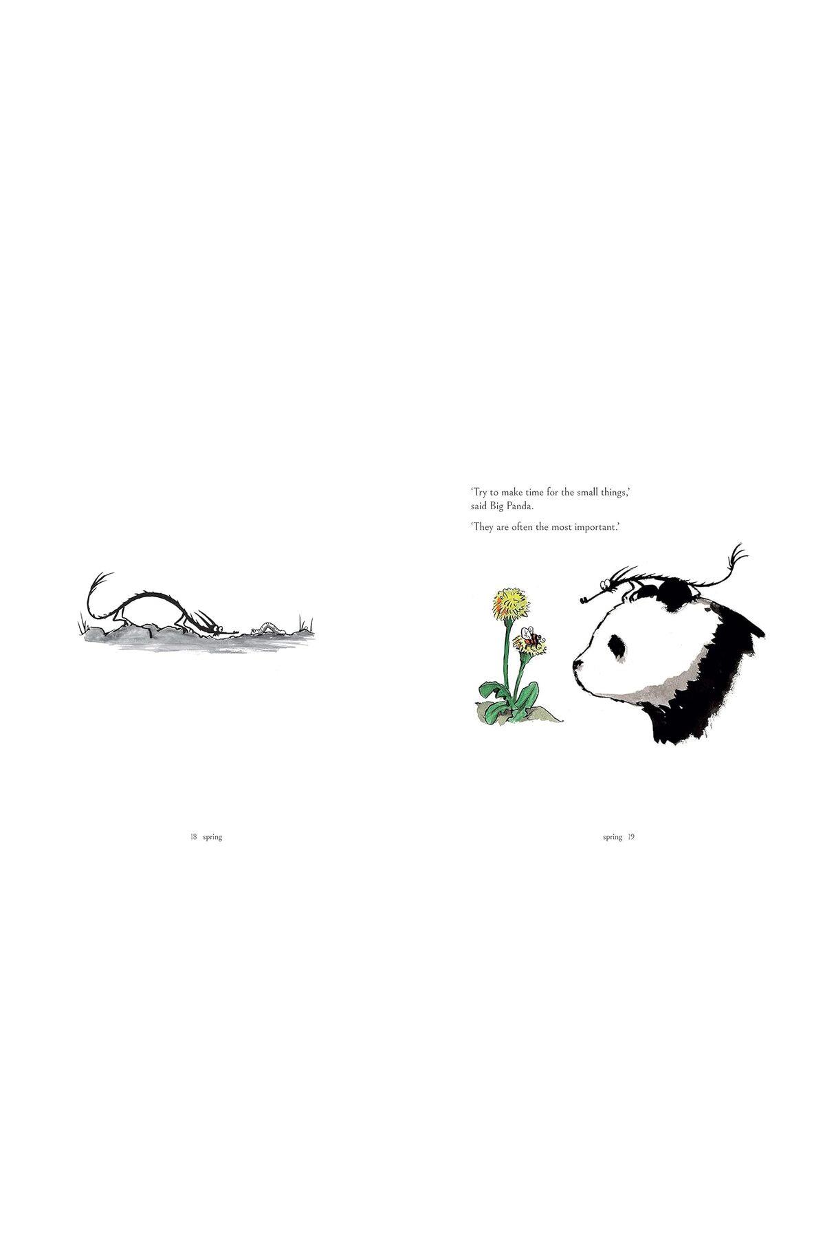 Big Panda and Tiny Dragon