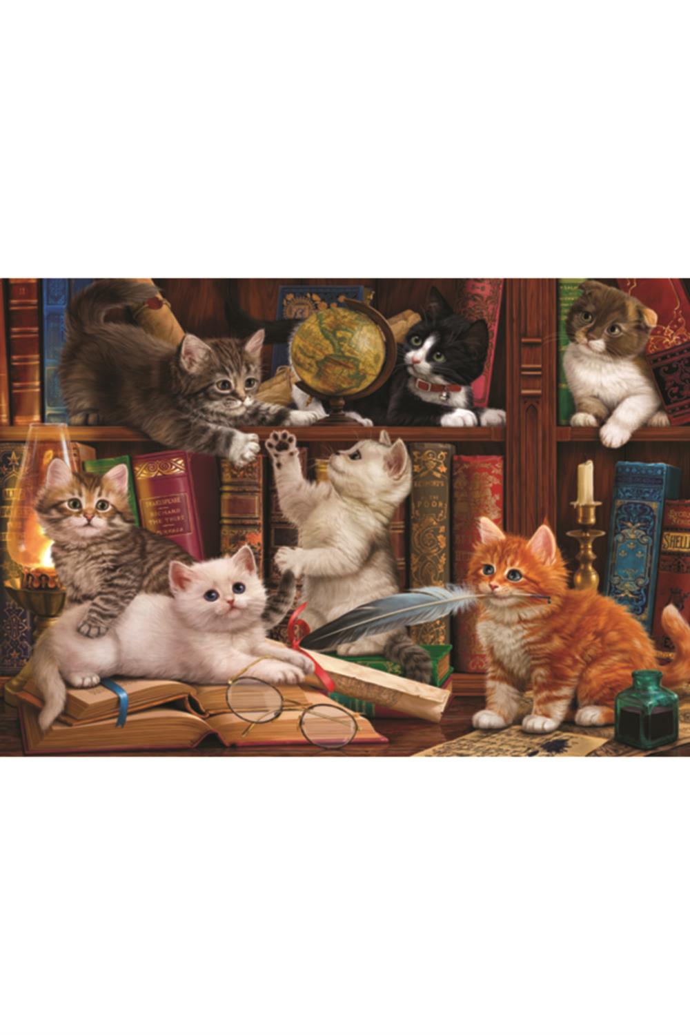 Kediler ve Kitaplar / 500 Parçalık Puzzle, Kod:3618